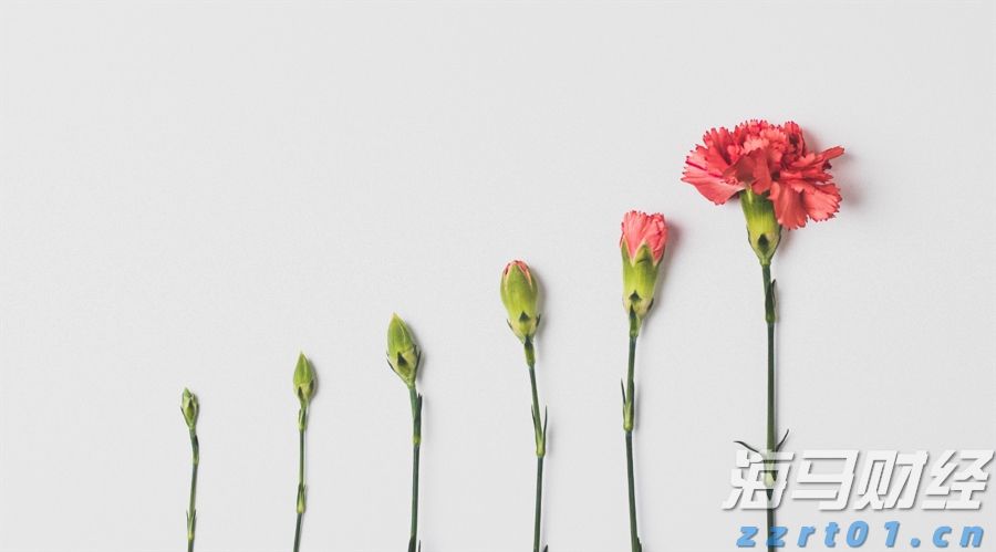 谁将接任鲍威尔？美联储理事沃勒成最热门人选